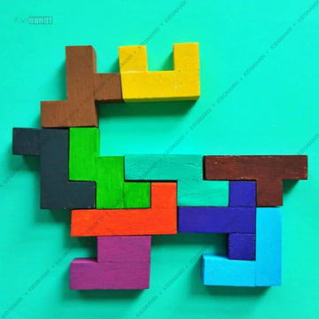 Wooden Blocks Puzzle Brain Teasers Toy