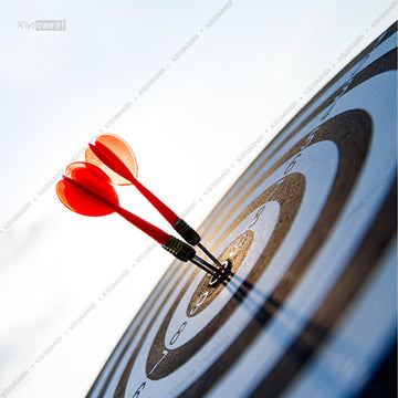 Score Dart Board with Soft Darts