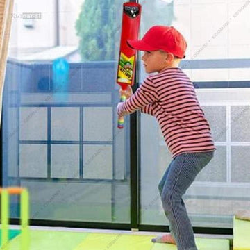 Bat, Ball and Cricket Kit
